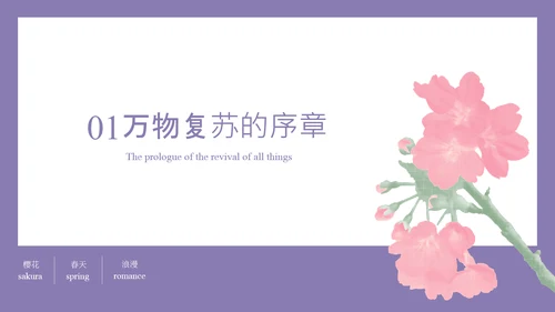 粉紫彩色半调风格樱花元素春日活动策划PPT模板