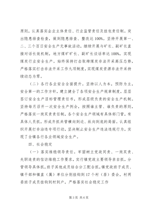 大河镇XX年度工作情况报告.docx