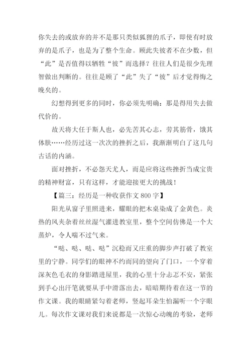 经历是一种收获作文800字.docx