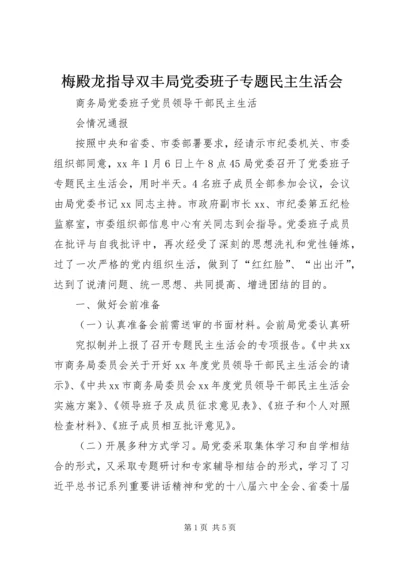 梅殿龙指导双丰局党委班子专题民主生活会 (3).docx