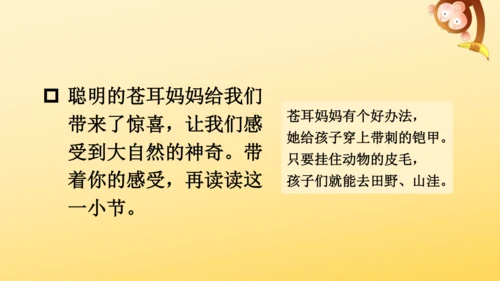 3 植物妈妈有办法  课件