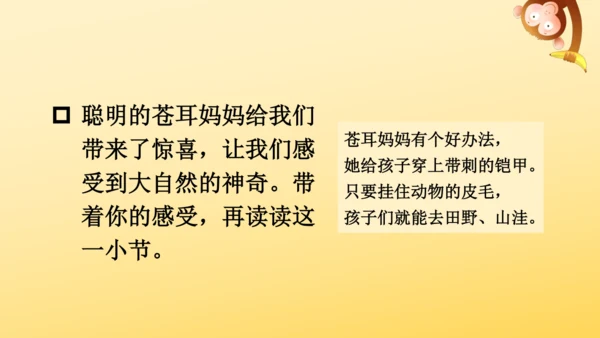 3 植物妈妈有办法  课件