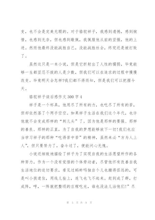 骆驼祥子读后感优秀作文300字5篇.docx