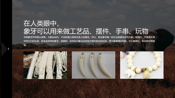 保护野生动物大象PPT模板