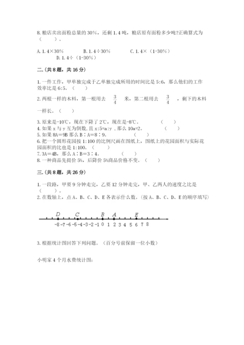 苏教版数学小升初模拟试卷【夺分金卷】.docx