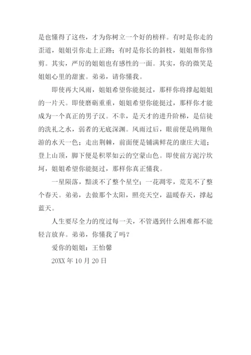 懂-是一种启蒙作文.docx