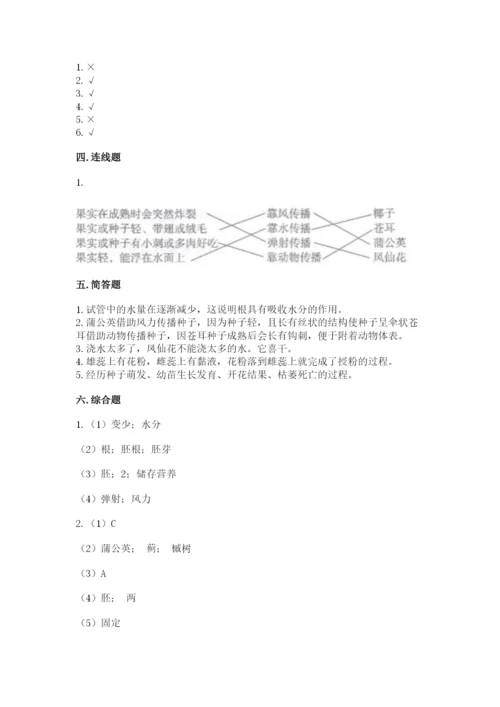 教科版四年级下册科学第一单元《植物的生长变化》测试卷附答案.docx