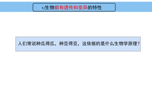 人教版（2024）七年级上册1.1.2生物的特征 课件(共24张PPT)