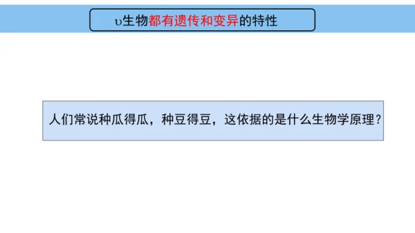 人教版（2024）七年级上册1.1.2生物的特征 课件(共24张PPT)