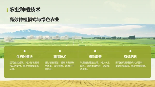 绿色摄影风走进绿水青山的家乡PPT模板
