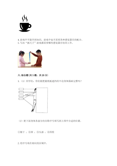 教科版小学科学二年级下册期末测试卷附答案（夺分金卷）.docx