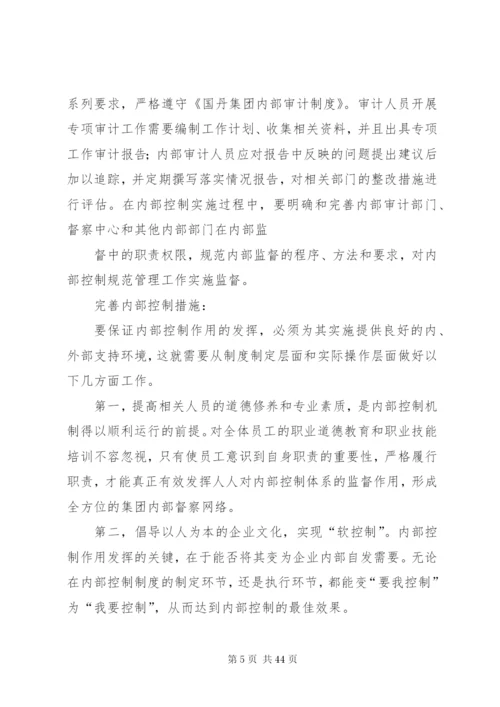 国丹集团内部控制制度.docx