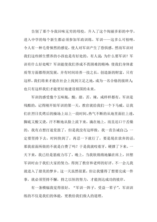 初中军训心得体会合集九篇（二）.docx