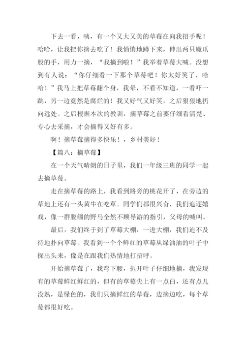 摘草莓的作文300字.docx