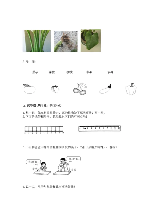 教科版一年级上册科学期末测试卷及答案（全优）.docx