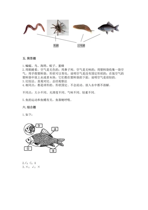 教科版一年级下册科学期末测试卷（全优）word版.docx