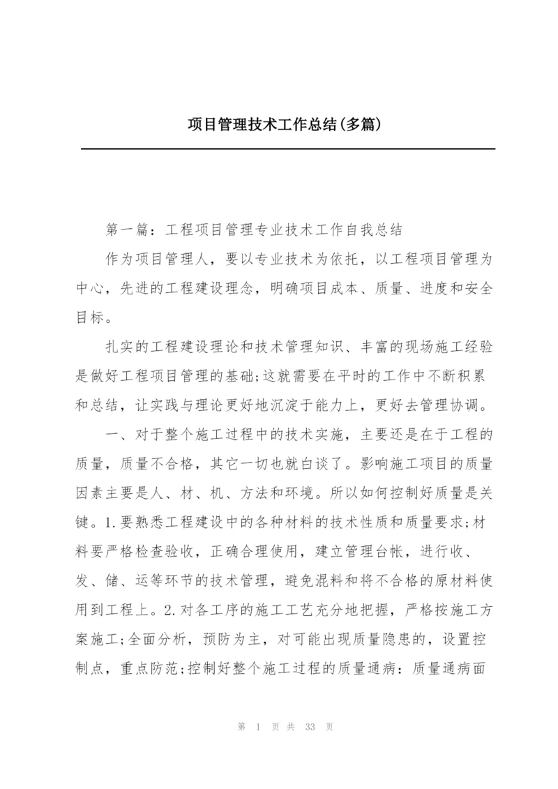 项目管理技术工作总结(多篇).docx