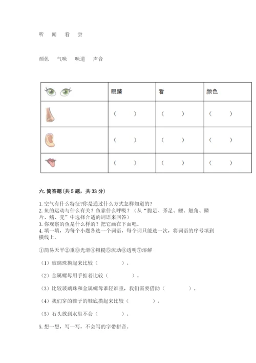 教科版一年级下册科学期末测试卷带答案（巩固）.docx