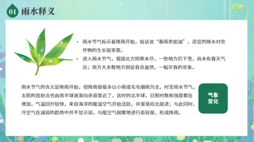 雨水节气春雨发芽背景通用PPT模板