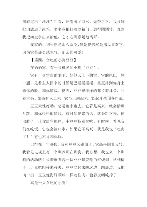 贪吃的小狗作文-2.docx