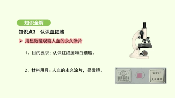 第四单元-第四章-第一节-流动的组织——血液课件-2024-2025学年七年级生物下学期人教版(20