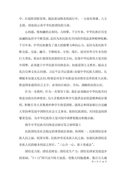 （精选）铸牢中华民族共同体意识研讨发言材料范文(通用11篇).docx