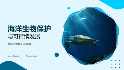 海洋生物保护与可持续发展