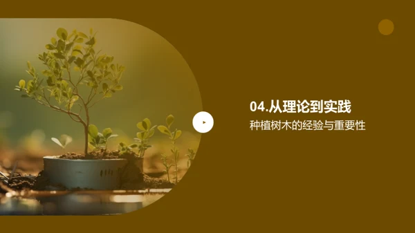 绿化生活，种植未来