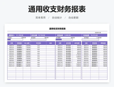 通用收支财务报表