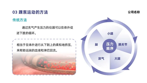 蓝色系紫色系简约风踝泵运动健康宣教培训ppt课件