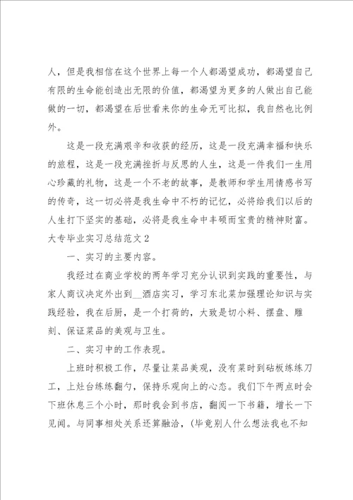 大专毕业实习总结范文