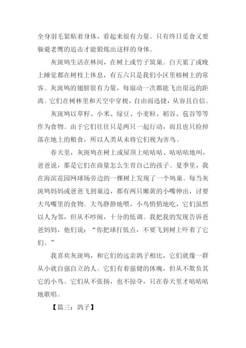 写一种鸟的作文.docx