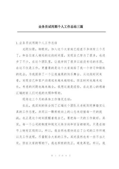 业务员试用期个人工作总结三篇.docx