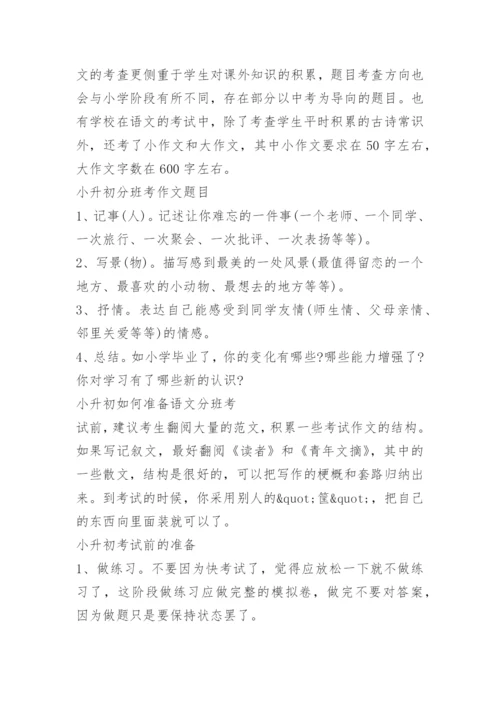 小升初语文必考知识点总结.docx