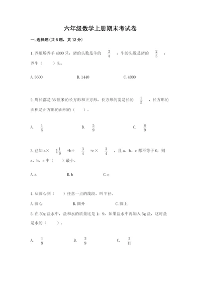 六年级数学上册期末考试卷附完整答案【名师系列】.docx