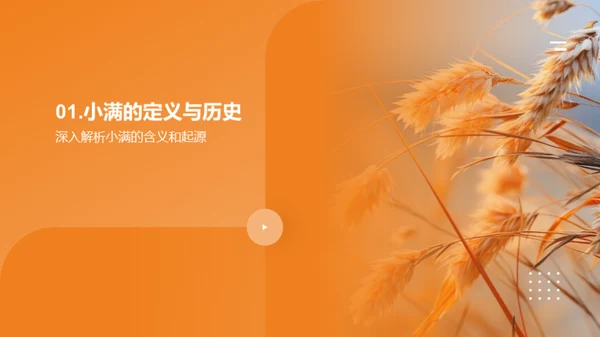 小满节气全解析