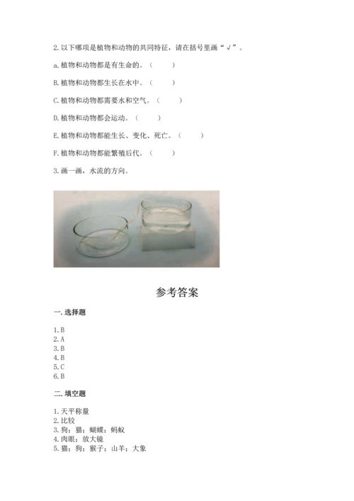 教科版一年级下册科学期末测试卷附参考答案【基础题】.docx
