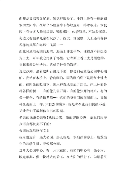 公园的观后感作文600字