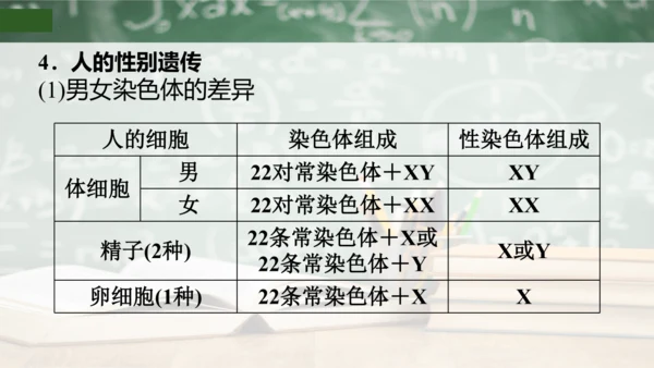 第2章 生物的遗传与变异（复习课件）-八年级生物下册章末知识总结 检测卷（人教版）(共19张PPT)