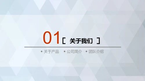 商业轻奢大气银灰色创业项目计划书通用PPT