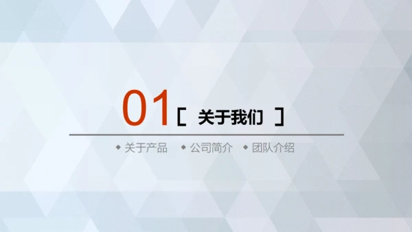 商业轻奢大气银灰色创业项目计划书通用PPT