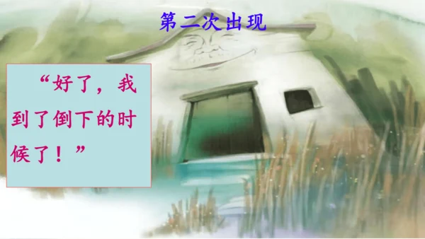 第12课《总也倒不了的老屋》课件