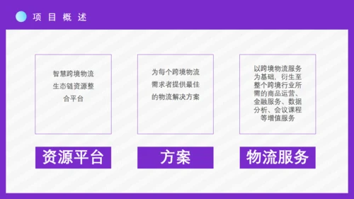 时尚女性跨境电商方案通用PPT模板