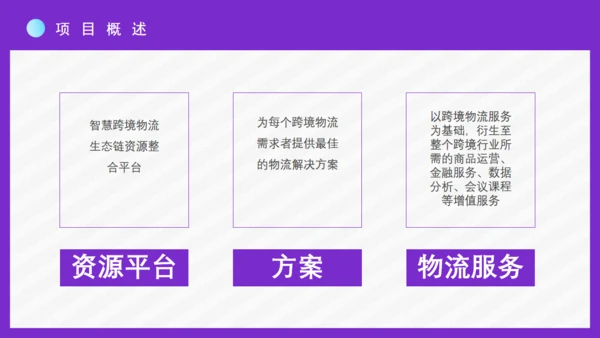 时尚女性跨境电商方案通用PPT模板