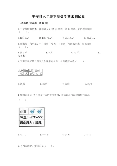 平安县六年级下册数学期末测试卷（精品）.docx