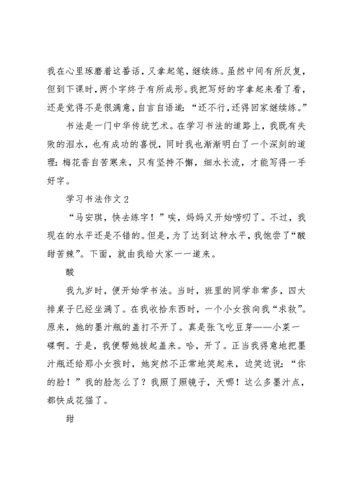 学习书法作文(共13页)