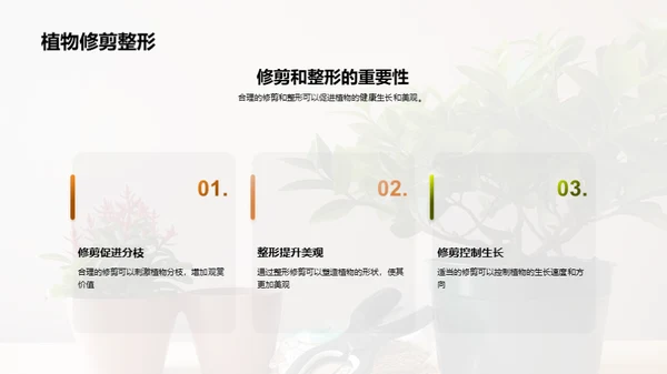 植物养护：小白到专家之路