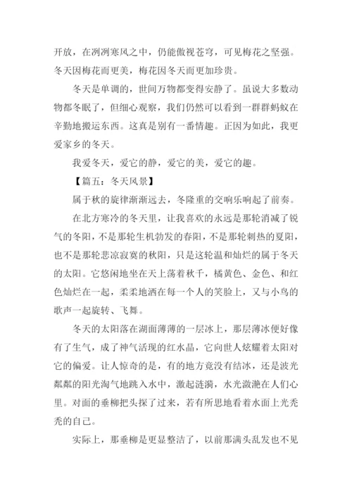 描写冬天风景的作文.docx