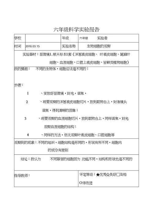 教科版六年级科学下册实验报告单(全)