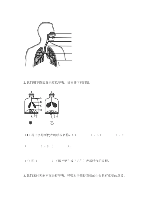 教科版四年级上册科学期末测试卷及参考答案ab卷.docx